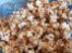 Peanut Butter Butterscotch Popcorn - Guest Post from The Doctorate Housewife