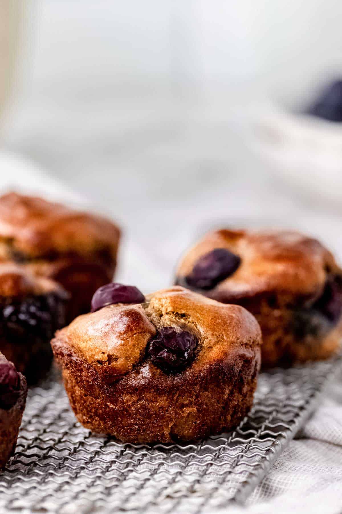 Close up of flourless blueberry mini muffins on a wire rack.