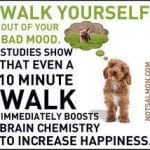 Feel better by following these sage words of advice from a dear friend - walk!