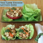 Thai-Larb-Chicken-Lettuce-Cups-1-thumb.jpg