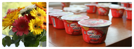 Yoplait intro Collage