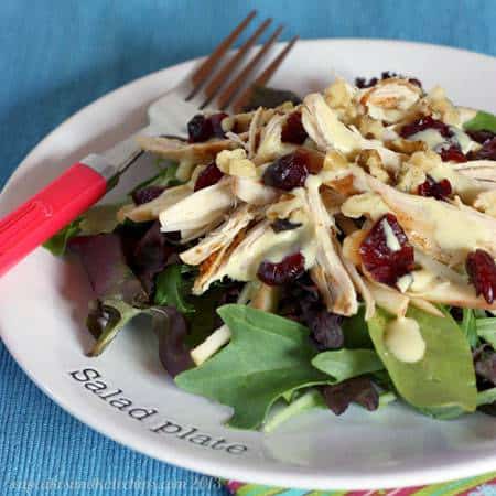 Apple and Turkey Salad on a plate.