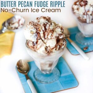 Butter Pecan Fudge Ripple No-Churn Ice Cream square featured image