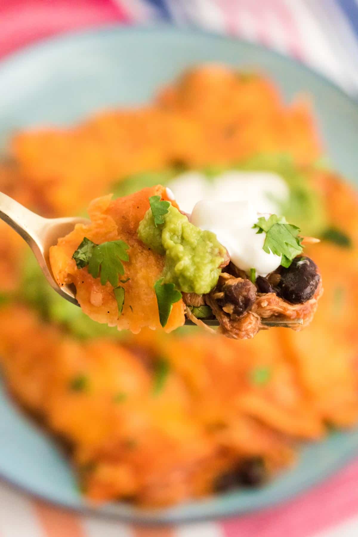 A forkful of cheesy chicken enchilada.