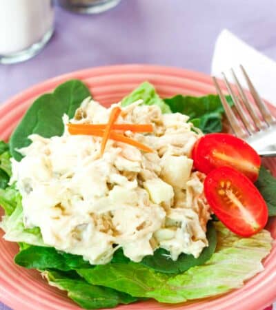 A scoop of chicken salad with apples on a plate.