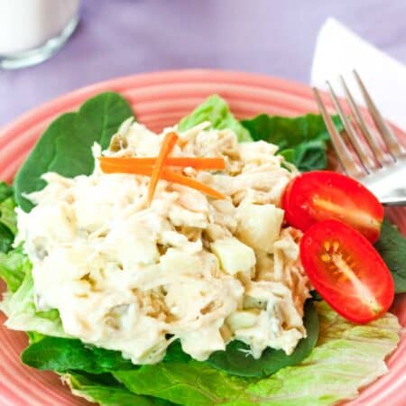 A scoop of chicken salad with apples on a plate.