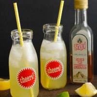 Glass bottles of agave lemonade with straws, next to a bottle of agave nectar and scattered lemon and lime wedges.