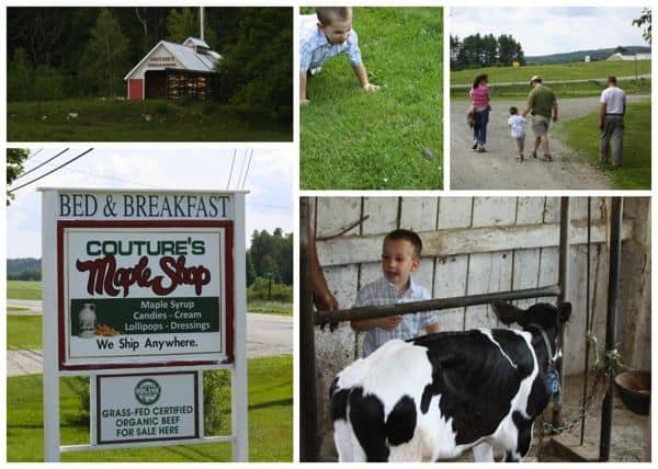 Vermont Farm Tour Collage