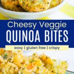 Cheesy Veggie Quinoa Bites in a small bowl and on a turquoise plate divided by a blue box with text overlay that says "Cheesy Veggie Quinoa Bites" and the words easy, gluten free, and crispy.