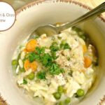 chicken and orzo stew