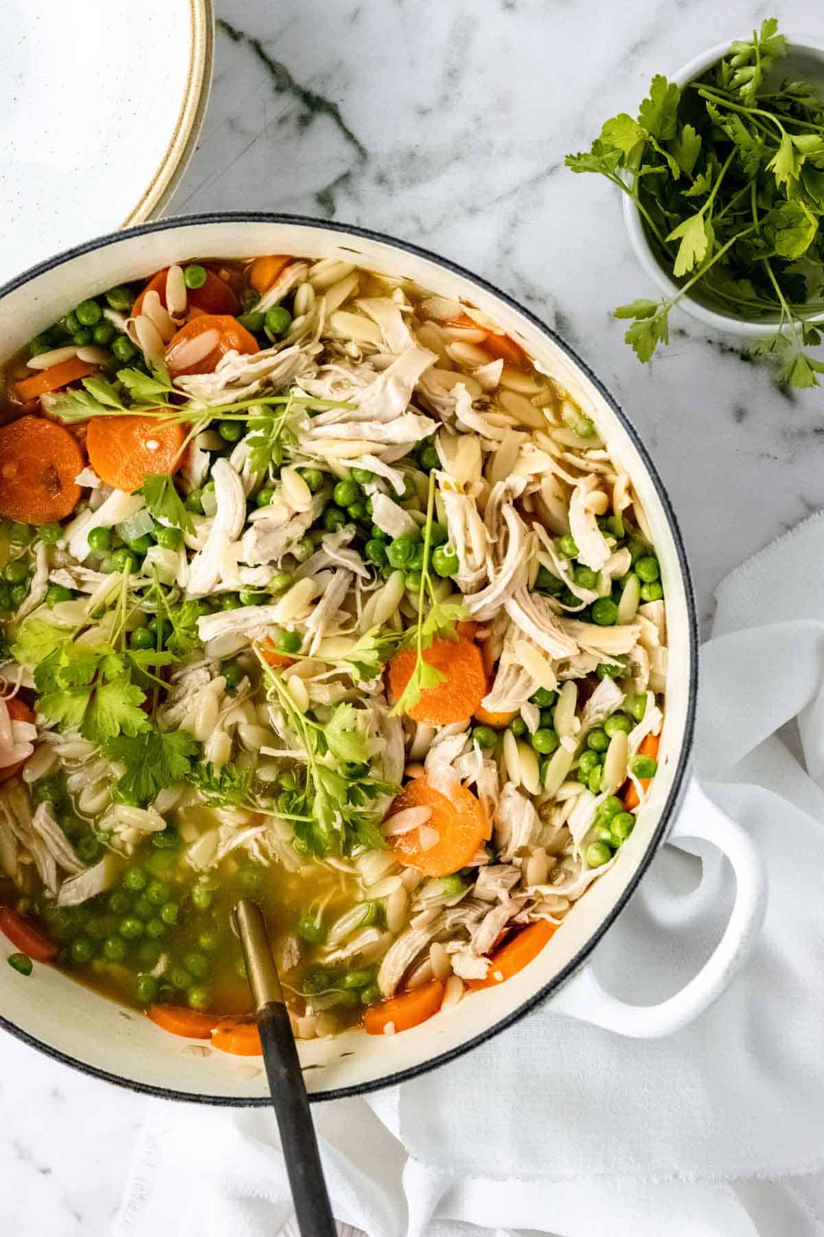 Gluten Free Chicken Orzo Stew | Cupcakes & Kale Chips