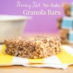 Honey Nut No Bake Granola Bars Recipe-0626 title