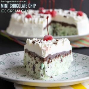 No-Churn Mint Chocolate Chip Ice Cream Cake
