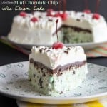 No-Churn Mint Chocolate Chip Ice Cream Cake recipe-2052 title