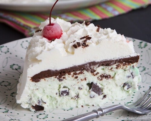 Mint Chocolate Chip Ice Cream Cake Recipe - NYT Cooking