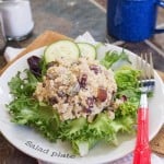 Waldorf-Quinoa-Chicken-Salad-recipe-0436.jpg