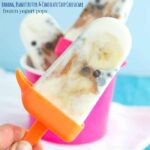This homemade frozen yogurt pop is made with creamy peanut butter and chocolate chips.
