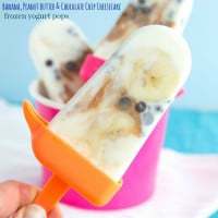 This homemade frozen yogurt pop is made with creamy peanut butter and chocolate chips.