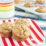 Flourless Oatmeal Peanut Butter Banana Chocolate Chip Mini Muffins recipe-3234 title