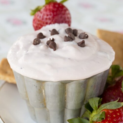Strawberry Chocolate Chip Greek Yogurt Dip Cupcakes & Kale Chips