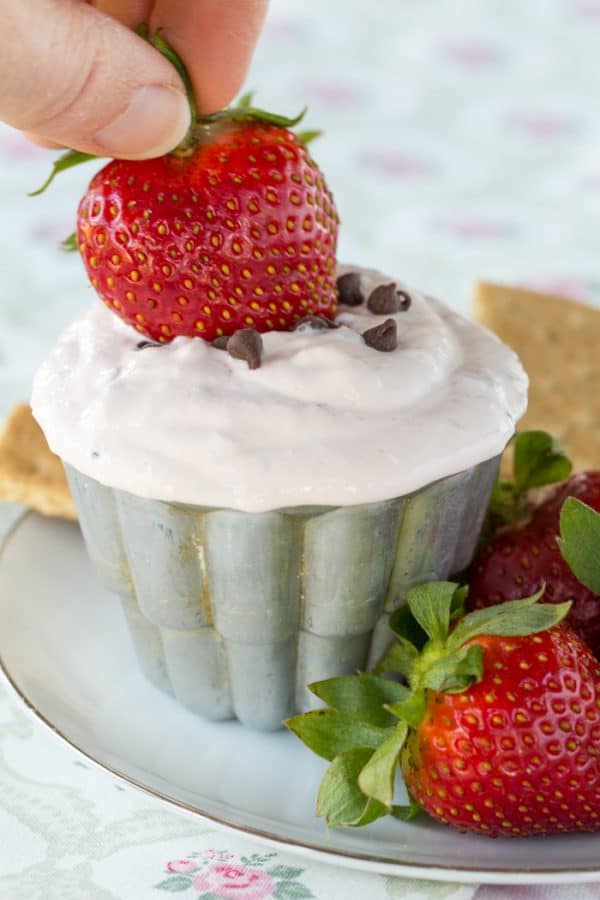 Strawberry Chocolate Chip Greek Yogurt Cheesecake Dip - you only need six ingredients for this healthy dip recipe that's a light sweet treat for an after school snack or dessert. | cupcakesandkalechips.com | gluten free