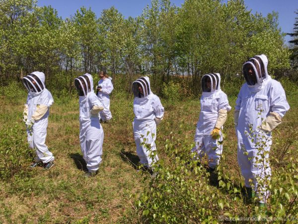 Wymans Live From the Hive No Bees No Berries-00