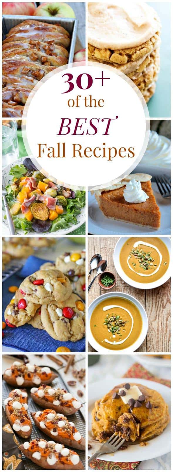 Best Fall Recipes (Over 30!) Cupcakes & Kale Chips