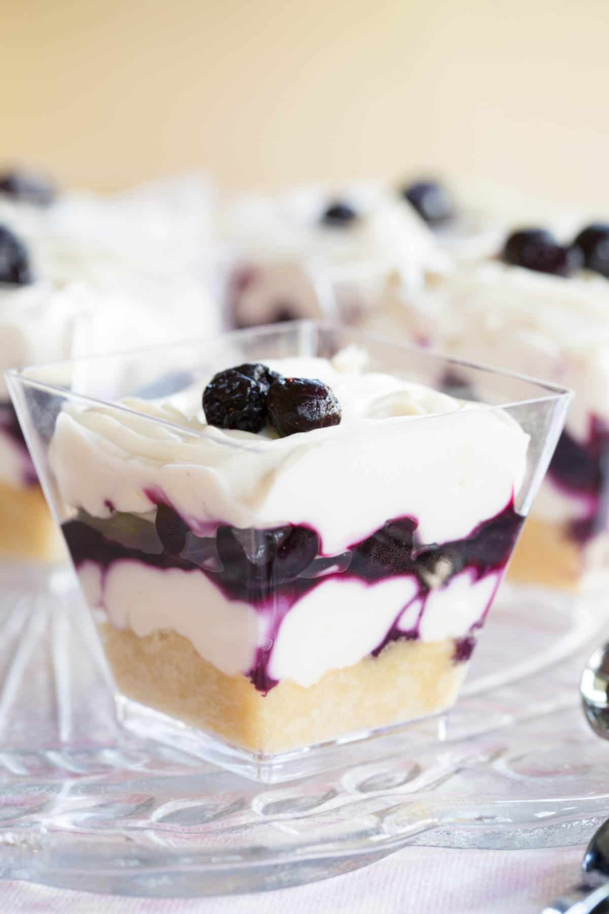 A closeup of a small dessert cup with layers of crust, cheesecake, and blueberries.