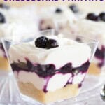 One small dessert parfait with text overlay that says "Mini Blueberry Cheesecake Parfaits".