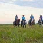 Four Ranchers in Cowboy Hats on Horseback in a Grassy Field