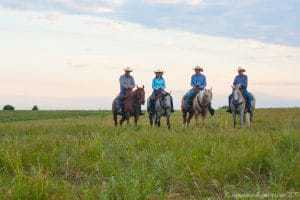 Four Ranchers in Cowboy Hats on Horseback in a Grassy Field