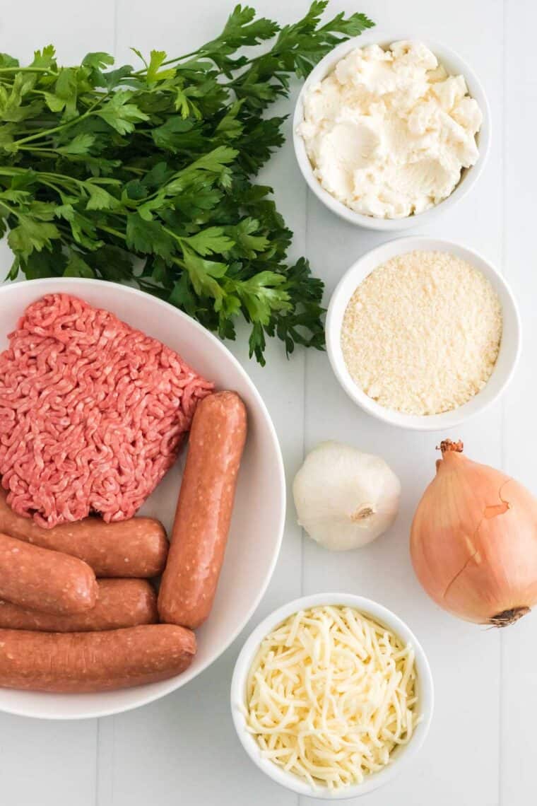 Ingredients for meat sauce for lasagna