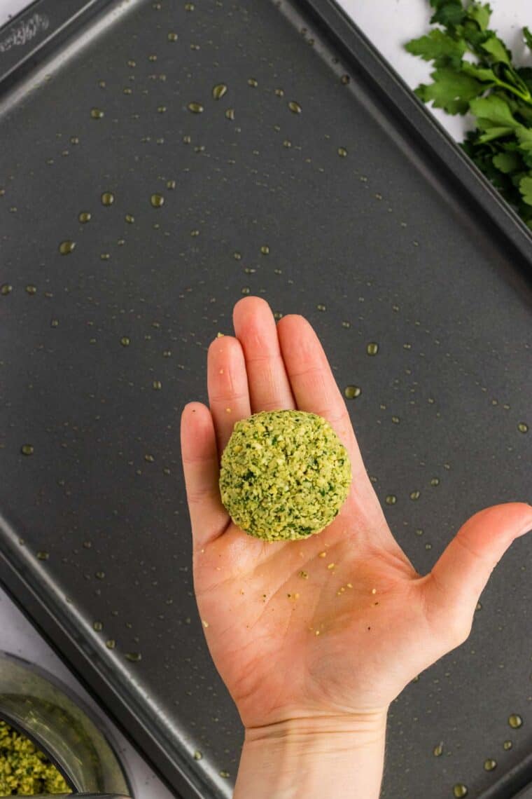 A hand holding a falafel ball