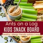 Healthy Ants on a Log Kids Snack Board Pinterest Collage