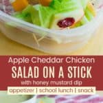 Apple Cheddar Chicken Salad on a Stick Pinterest Collage