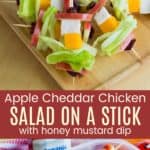 Apple Cheddar Chicken Salad on a Stick with Honey Mustard Dressing Pinterest Collage