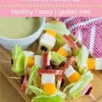 Healthy Chicken Salad on a Stick Pin Template Pink