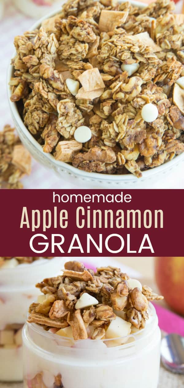 Homemade Apple Cinnamon Granola Recipe Cupcakes & Kale Chips