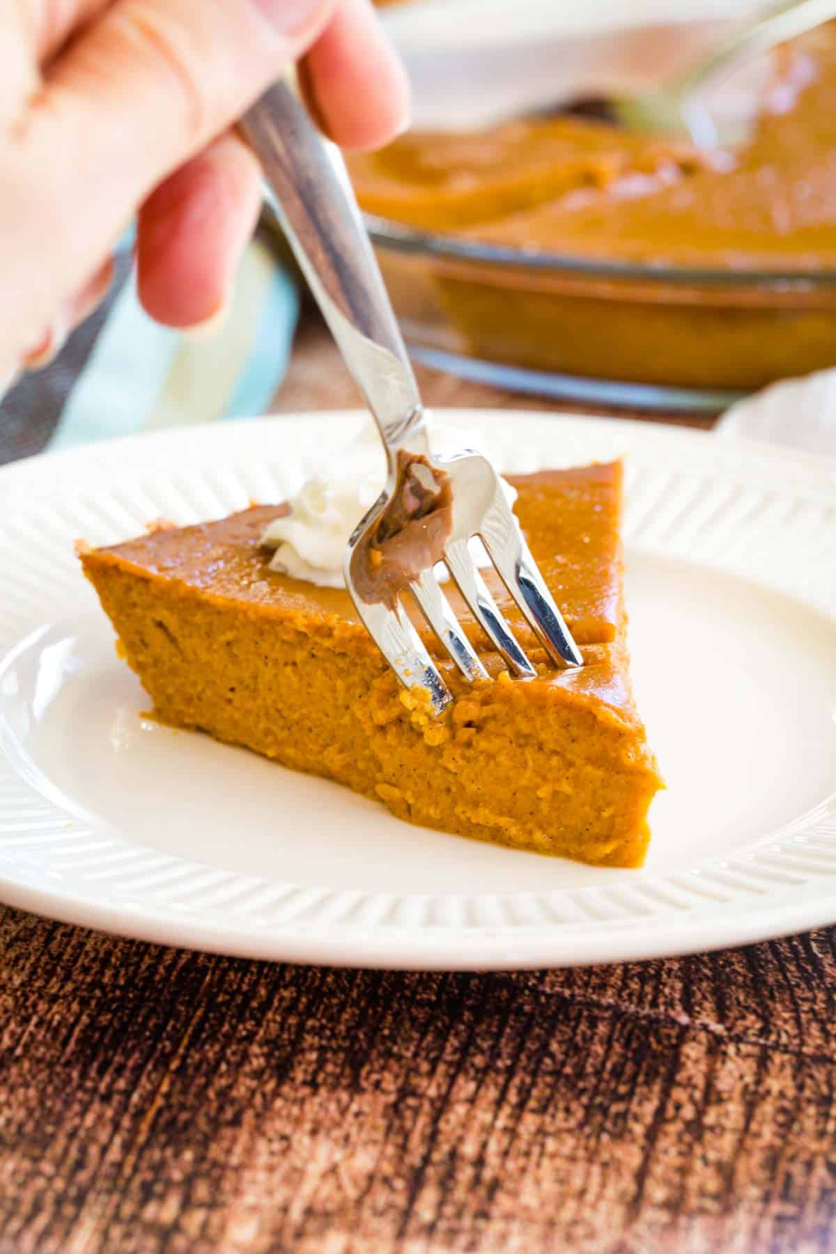 A fork taking a bite of crustless pumpkin pie