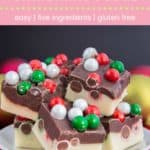 Chocolate Sixlets Christmas Fudge Pin Template Pink