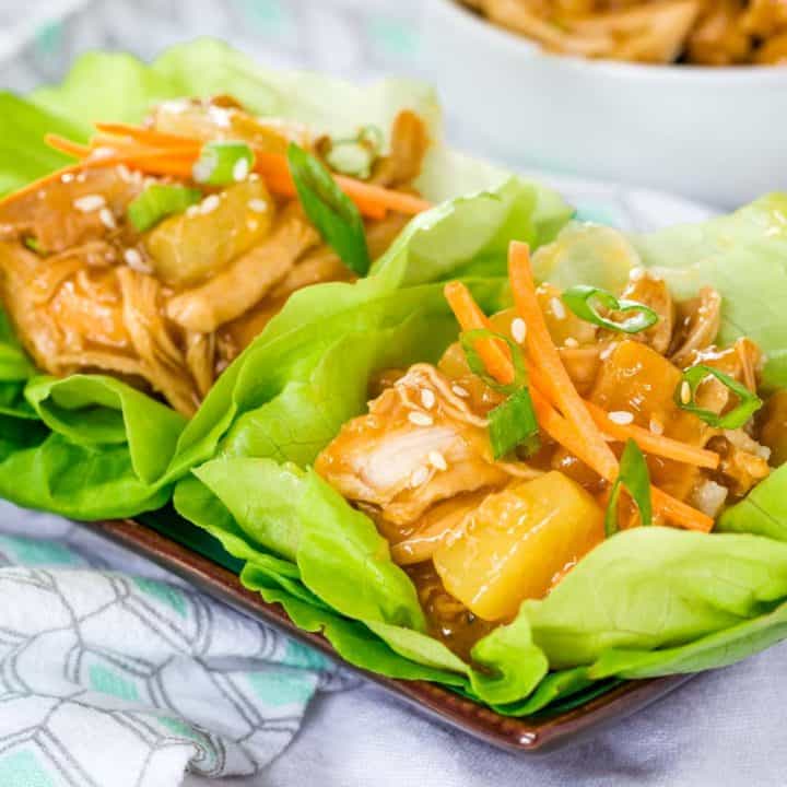 Instant Pot Teriyaki Chicken Lettuce Wraps Cupcakes & Kale Chips