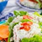 Tzatziki Greek Chicken Salad Lettuce Wrap Recipe