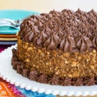 A whole gluten free layer cake with chocolate buttercream and yellow butter cake crumbs