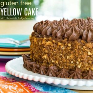 Gluten Free Yellow Cake with Chocolate Fudge Frosting with text