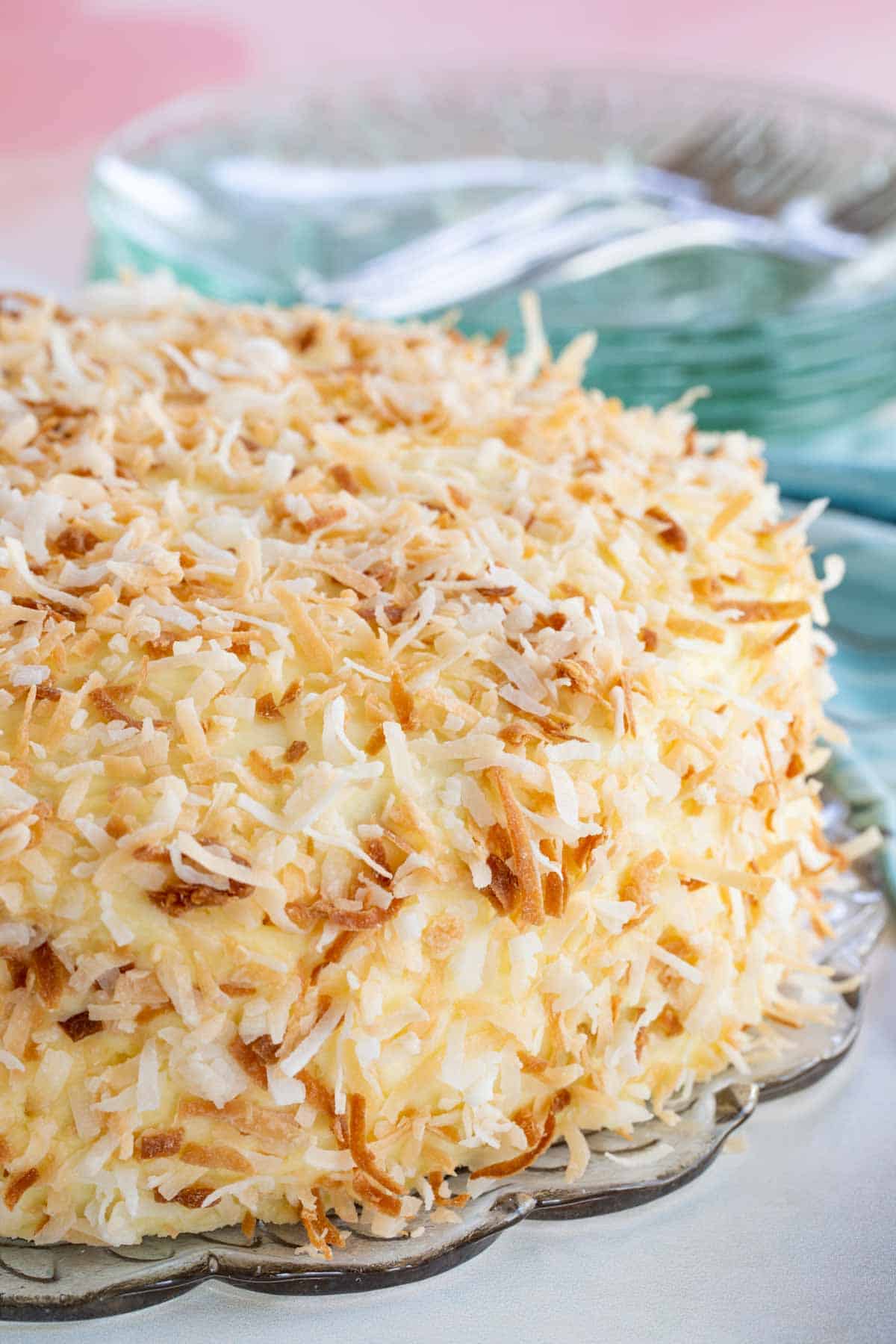Toasted coconut covering the outside of Gluten Free Coconut Cake.
