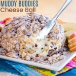 Muddy Buddies Cheese Ball square featured image