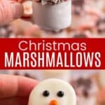 One hot cocoa decorated chocolate dipped marshmallow and one snowman face chocolate-dipped marshmallow