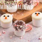Two snowman marshmallows and one hot cocoa marshmallow