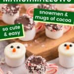 Display of cocoa mug and snowman marshmallows