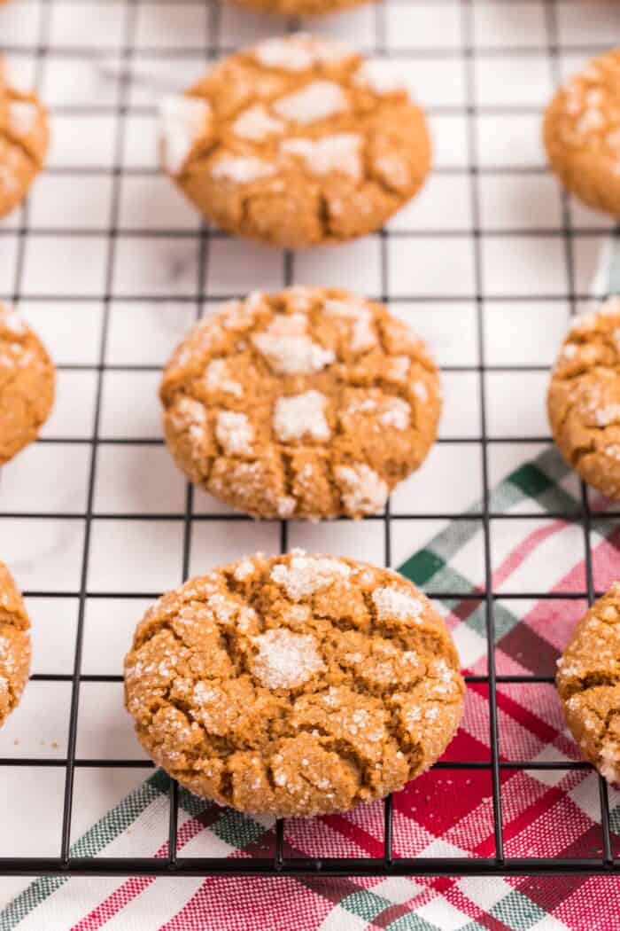 Gluten Free Gingersnaps with a Crackle Sugar Topping